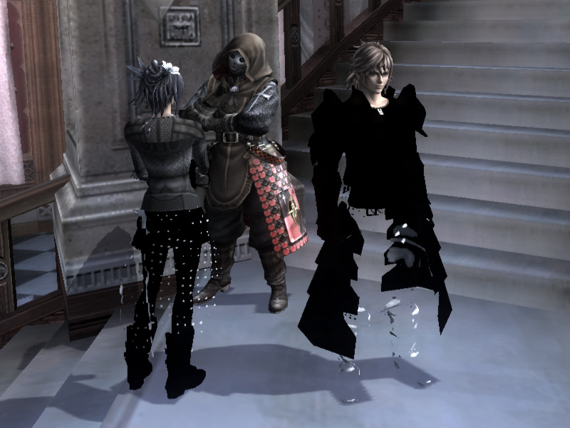 File:The Last Story Clothes Bug.jpg