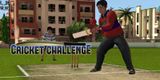 Cricket Challenge.jpg