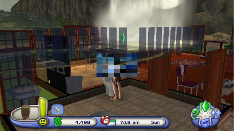 File:TS2P Wii Direct3D Censor 1.png
