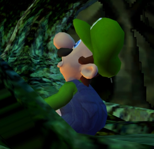 Luigi correct.png